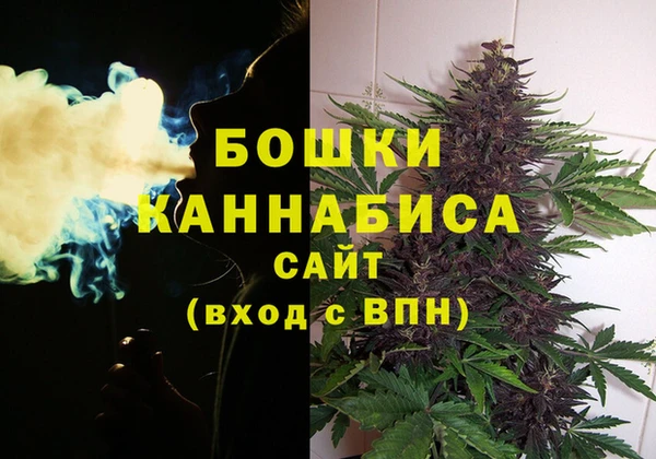 СК Нефтегорск