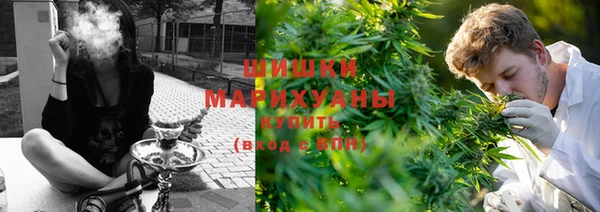 соль ск Надым