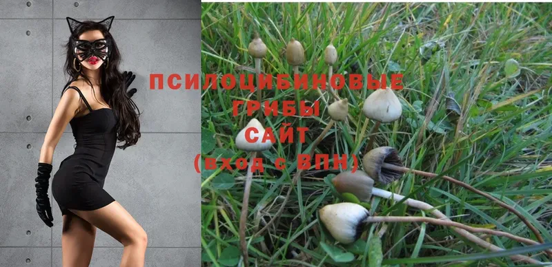 закладка  omg tor  Галлюциногенные грибы Magic Shrooms  Яровое 